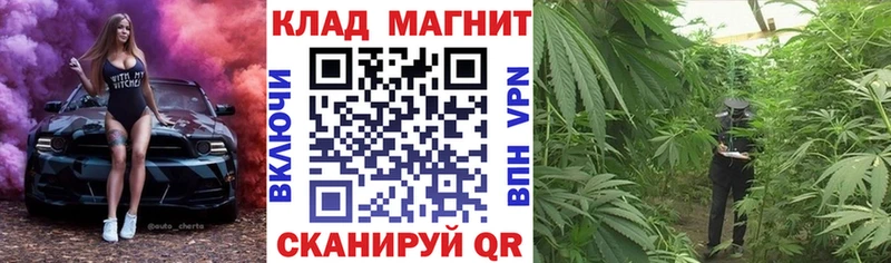 Где купить наркоту Омск Cocaine  Меф  Галлюциногенные грибы  Канабис  ГАШ 