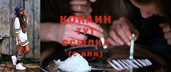 стаф Армянск