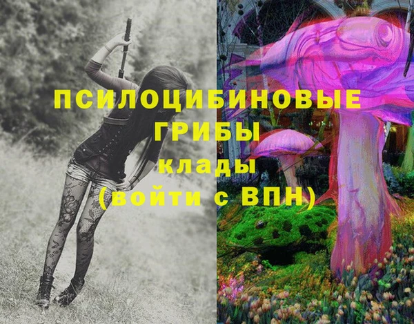 бутират Арсеньев