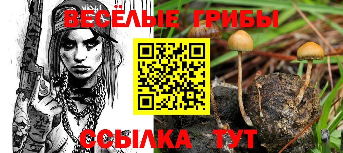 Псилоцибиновые грибы мухоморы  Вход с VPN  Галлюциногенные грибы GOLDEN TEACHER  Омск 