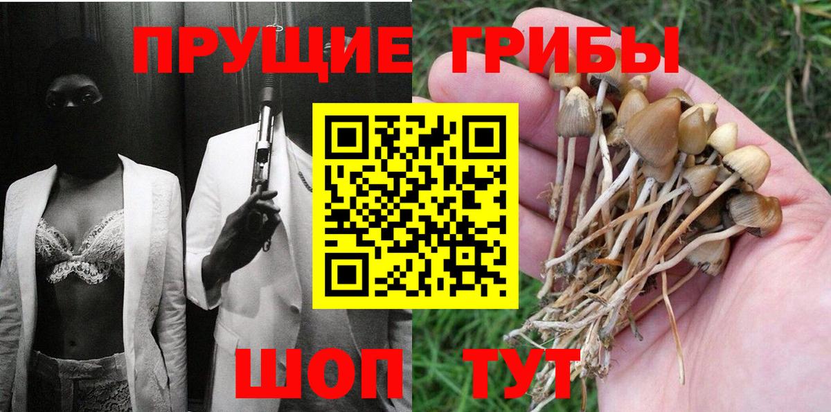 Галлюциногенные грибы GOLDEN TEACHER  Вход с VPN  Омск  Галлюциногенные грибы Magic Shrooms 