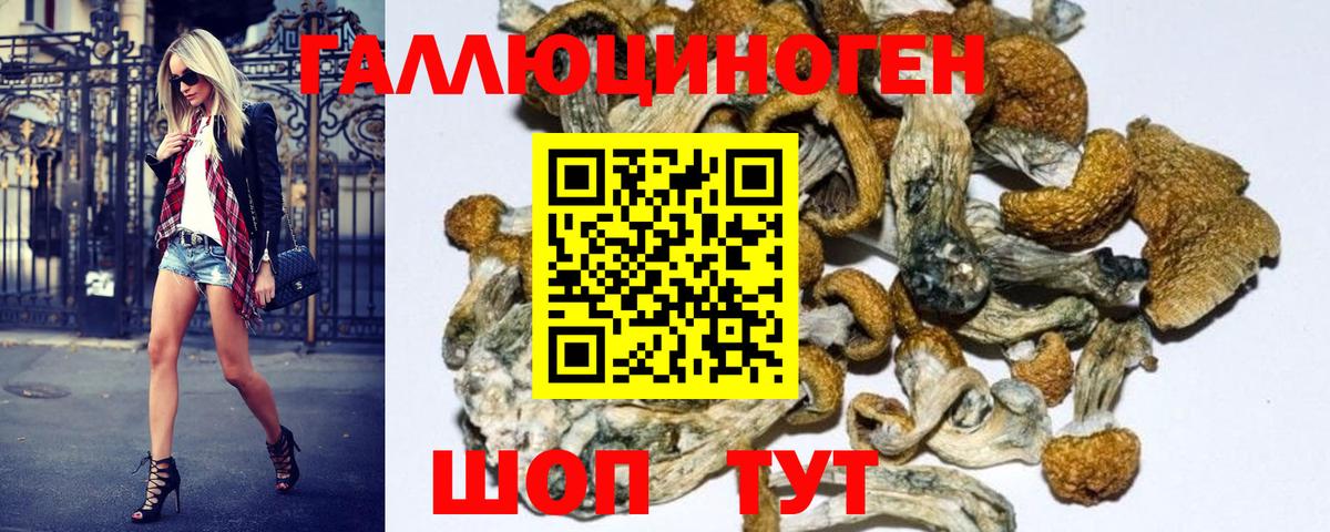 Галлюциногенные грибы GOLDEN TEACHER Омск